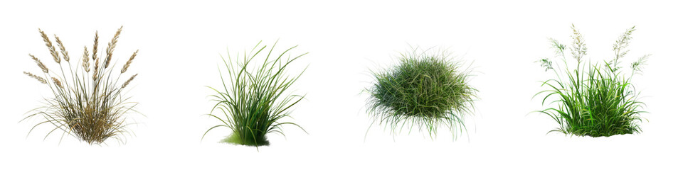 Set of Lush Green Grass Bushes Isolated on Transparent Background