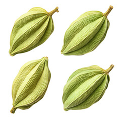 Set of Green Cardamom Pods Isolated on White Background, Aromatic Spices for Cooking and Baking with Natural Flavor and Aroma, Culinary Herb