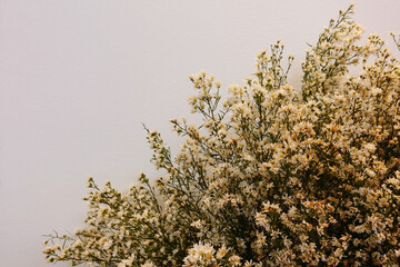 Flowers on white background,Wedding flowers that decorate in the wedding,Wedding bouquet,White and Yellow flowers for decoration