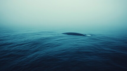 Obraz premium A serene expanse of open ocean under a soft, misty sky, with a glimpse of a solitary whale surfacing, showcasing nature’s vastness.
