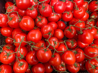 Red tomato branches lie on the counter in the store