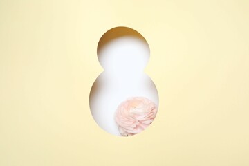 8 March greeting card design with pink ranunculus, top view. Happy International Women's Day