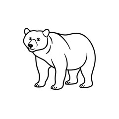 Fototapeta premium bear line art on white background 