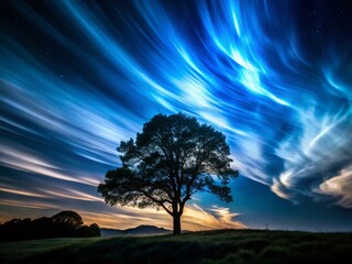 Fototapeta premium Mesmerizing Time-Lapse of Noctilucent Clouds Illuminating a Silhouetted Tree