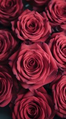 Naklejka premium A stunning arrangement of deep red roses, symbolizing love and passion, creating a romantic ambiance.
