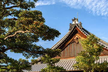Old Japanese Tokugawa Shogun residence of Nijo castle in Kyoto city, Japan