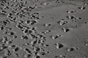 Footprints in the sea sand