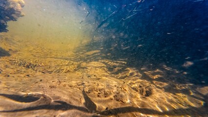 shallow freshwater creek snorkel, organic particle in fast flow riverbed watercourse, muddy silt...