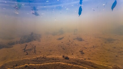 silt sediment substrate, cyanobacteria green algae bloom underwater ecology threat, low visibility murky water, organic particle mud, environment explore, shallow freshwater river Buher in Lityn