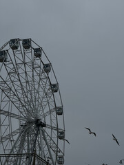 A large Ferris wheel and flying seagulls against a cloudy gray sky.