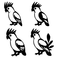 set of cartoon birds