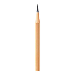 Naklejka premium Tall, thin wooden pencil standing vertically
