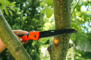 Close-up of a hand using a folding hand saw to cut a tree branch outdoors. Perfect for pruning, yard work, and garden maintenance projects