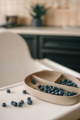 Blueberries in a silicone suction plate on a high chair tray, some scattered on the surface. Modern kitchen setting, minimalistic toddler mealtime, baby-led weaning, and healthy snack concept