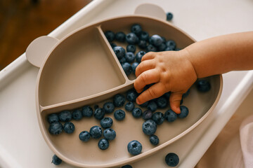 A young child reaching for fresh blueberries on a divided plate atop a high chair tray. Ideal for baby-led weaning, healthy snacking, and early eating habits