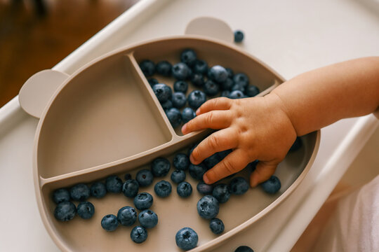 A young child reaching for fresh blueberries on a divided plate atop a high chair tray. Ideal for baby-led weaning, healthy snacking, and early eating habits