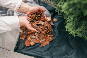 Hands pouring decorative bark mulch onto a black landscape fabric for garden bed protection....