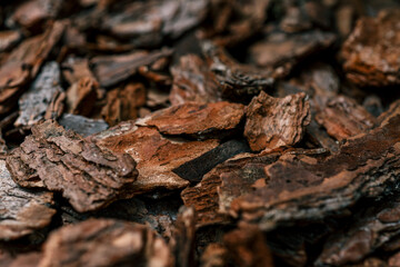 Close-up of natural bark mulch with rough texture and earthy tones. Organic material used for landscaping, soil protection, moisture retention, and weed control in gardening