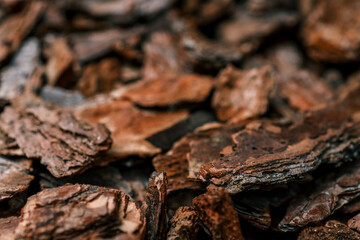 Close-up of natural bark mulch with rough texture and earthy tones. Organic material used for...