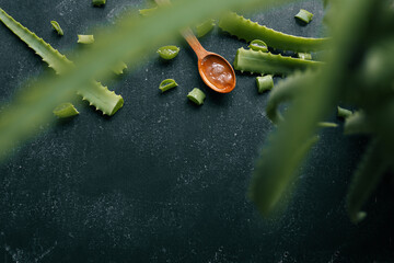 Fresh aloe vera gel in a wooden spoon with cut aloe leaves on a dark textured surface. Natural...