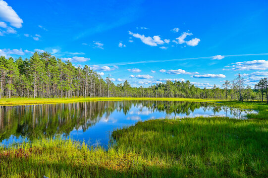 idyllischer See Viru raba ujumiskoht mit Spiegelung des Himmels im Viru bog nature trail through the Viru bog in Lahemaa National Park (Lahemaa rahvuspark) in northern Estonia