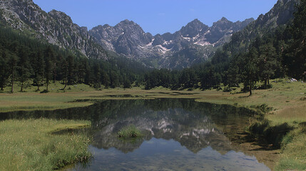 Obraz premium Mountain lake reflection, sunny day, alpine meadow