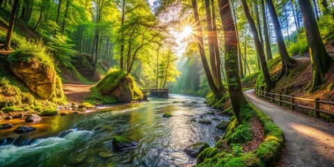 Obraz premium Panoramic Ehrbachklamm Hiking Trail: River, Forest, Germany