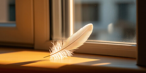 White Feather on Windowsill in Sunlight
