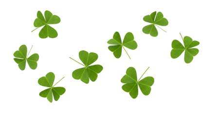four leaf clover PNG. green shamrocks falling down PNG. Lucky green shamrocks falling down in mid-air. Fresh four-leaf clovers floating, symbolizing luck and good fortune for Saint Patrick's Day.