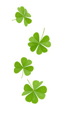 four leaf clover PNG. green shamrocks falling down PNG. Lucky green shamrocks falling down in mid-air. Fresh four-leaf clovers floating, symbolizing luck and good fortune for Saint Patrick's Day.