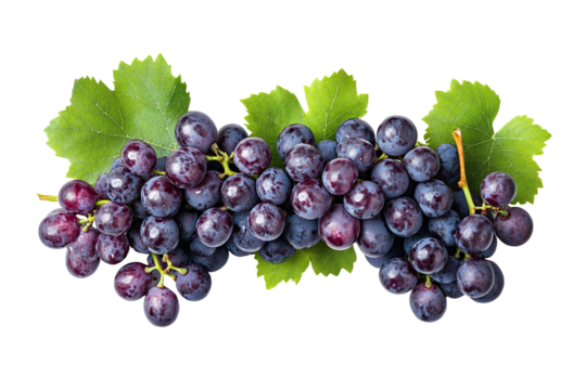 Bunch of grapes isolated on clean and clear white background