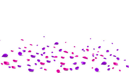 purple and red rose petals will fall on abstract floral background with gorgeous rose petal greeting card design.