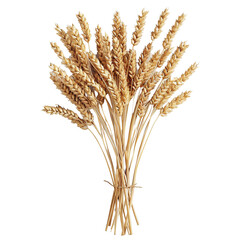 Fototapeta premium Golden Wheat Stalks
