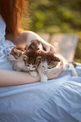 A photo of small kittens on a girl's lap.