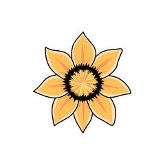 yellow flower isolated on white