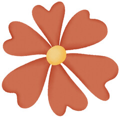 orange flower isolated on white