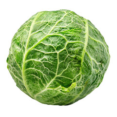 Fototapeta premium Fresh Green Cabbage Head with Crisp Leaves Isolated on White Background for Culinary and Dietary Concepts