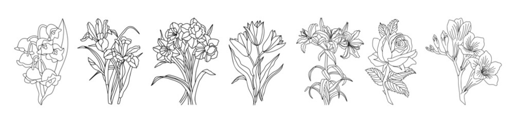 Set of flower line art vector illustrations. Daffodil, tulip, lily, rose, iris, gladiolus hand drawn black ink illustrations. Birth month flowers for jewelry, tattoo, wall art, logo, packaging design.
