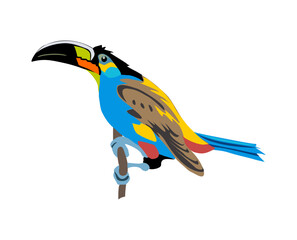 Toucan Exotic colorful bird realistic vector illustration Isolated On transparent Background. Black-feathered tucan with large yellow beak. Tropical bird sitting on tree branch. Exotic animal © Creative_Juice_Art