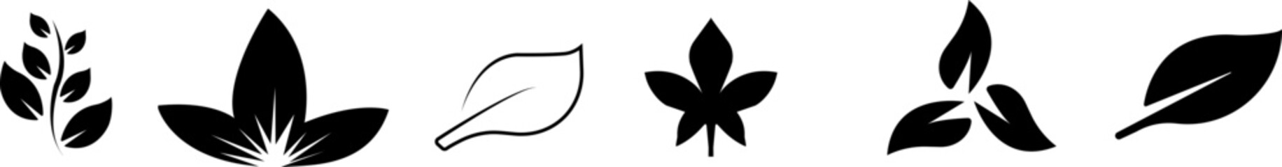 leaf ecology nature element vector icon, Leaf Icon. Leaf's color icon logo. Leaves . Vector designer elements Decorative beauty elegant for design collection