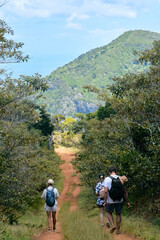 Fototapeta premium A young group of European tourists admires the stunning hike through an ancient tropical mountain forest in Mauritius.