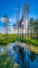 Fototapete bei efototapeten.de bestellen   