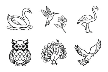 Birds of the World Bundle (Swan, Hummingbird, Flamingo, Owl, Peacock, and Eagle)