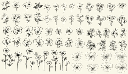 Stylized black line art of violets for vintage wedding invitations, elegant stationery, botanical floral branch, trendy greenery, perfect for personalized decor, classic branding, wedding logos