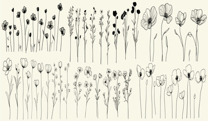 Feminine hand-drawn wildflowers, trendy greenery, stylized black line art of meadow buttercup, ideal for rustic wedding invitations, chic stationery, botanical logos, personalized branding