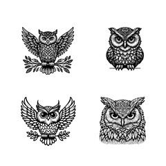 owl