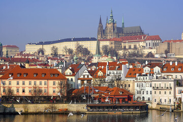 Prague Castle overlooks the city with seagulls flying above the river