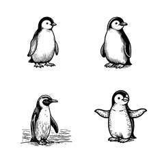 Naklejka premium penguin