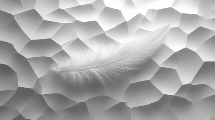 Delicate white feather rests on textured surface.
