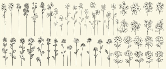 Minimalist botanical vector of lantana flowers, floral branch illustrations, trendy greenery for wedding invitations, set of black line art for wedding stationery, wedding floral design